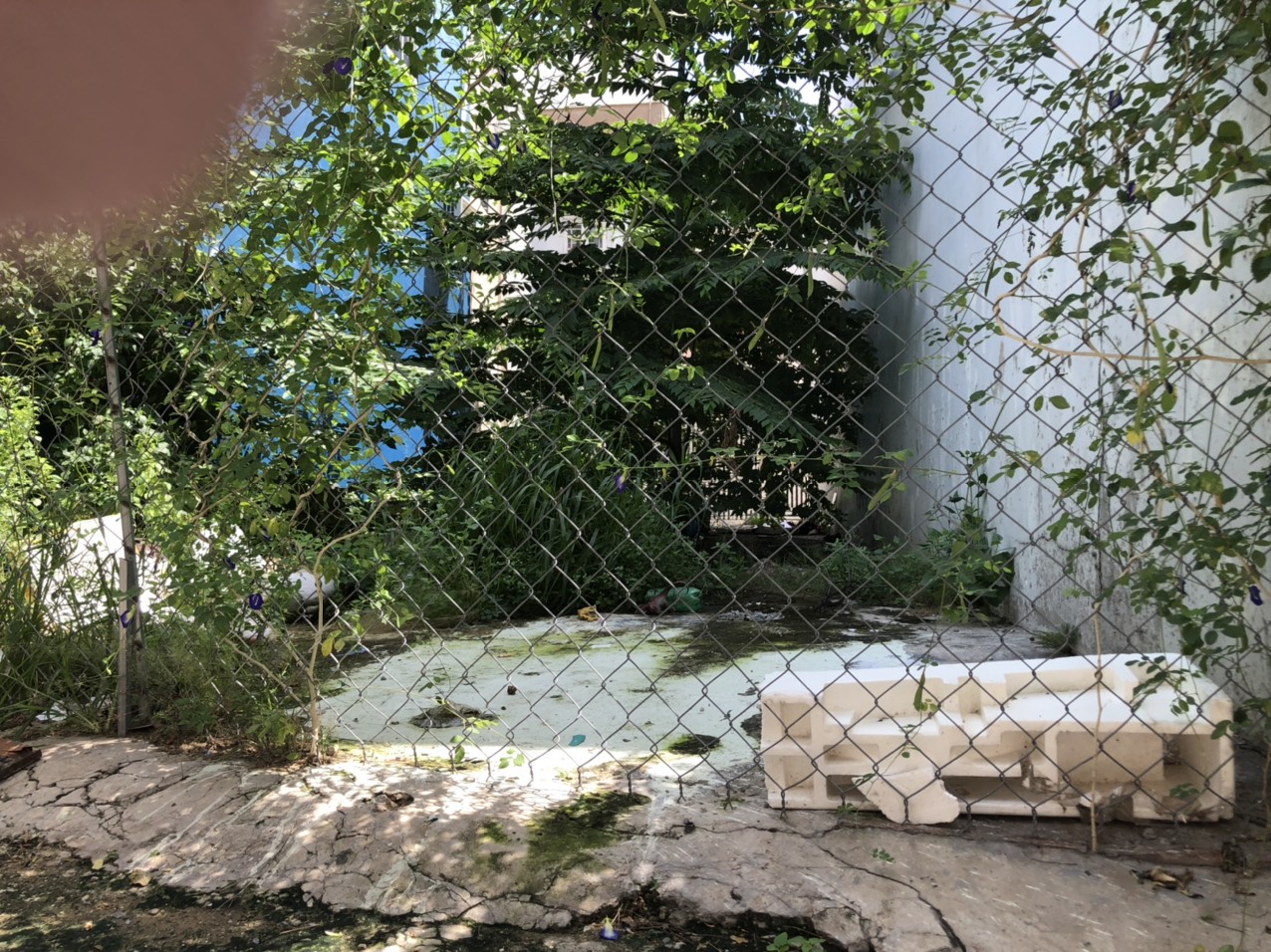 Đất 2 mặt hẻm, đường số 51, Hiệp Bình Chánh, 85m2 giá 4.3 tỷ gần chợ Hiệp Bình 12986896