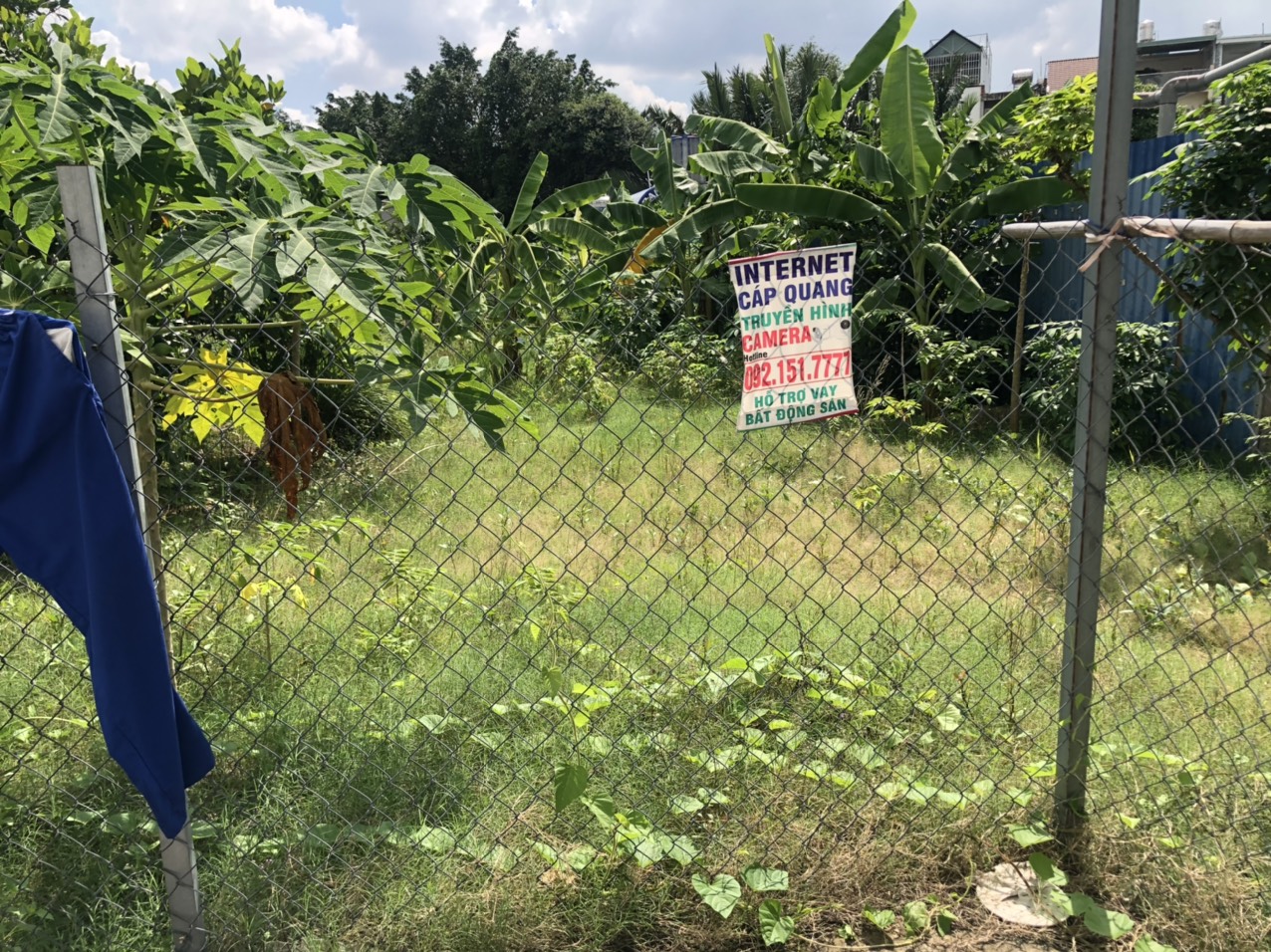 Bán đất vuông vứt đường Hiệp Bình, Hiệp Bình Chánh, 350m2 giá 13.5 tỷ 12998904