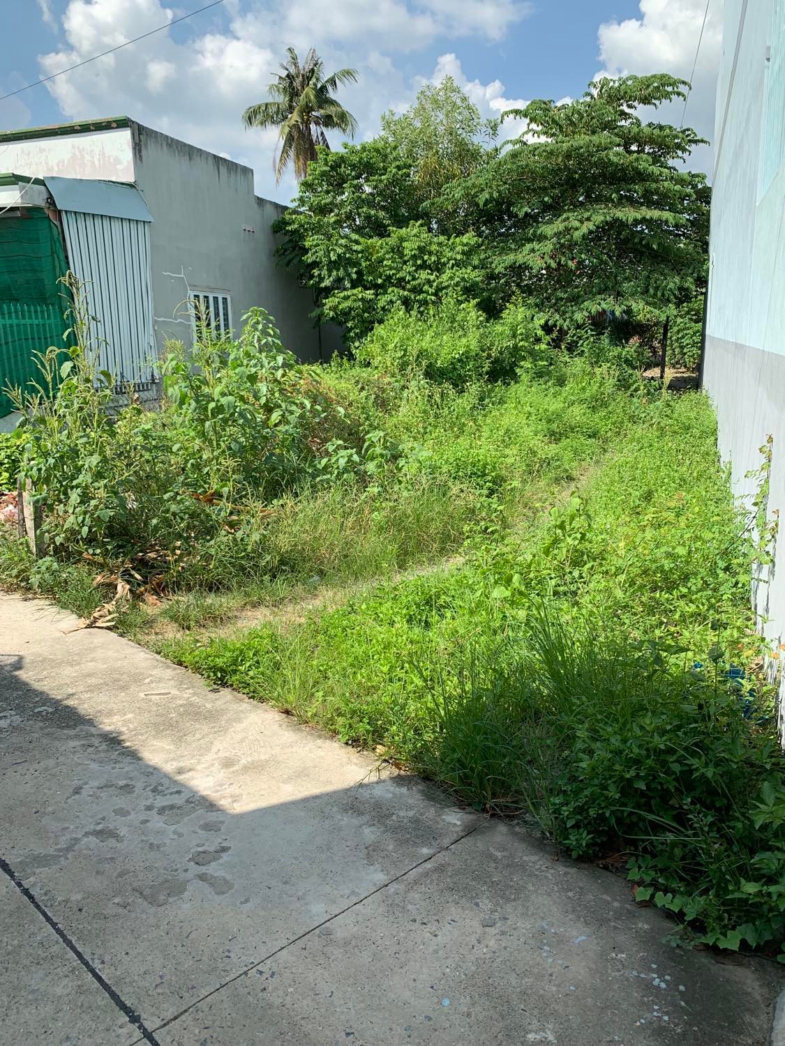 BÁN GẤP ĐẤT TẠI THÀNH PHỐ TÂY NINH 13005032