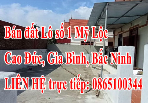 Bán đất lô số 1 Mỹ Lộc, Cao Đức, Gia Bình, Bắc Ninh 13010837