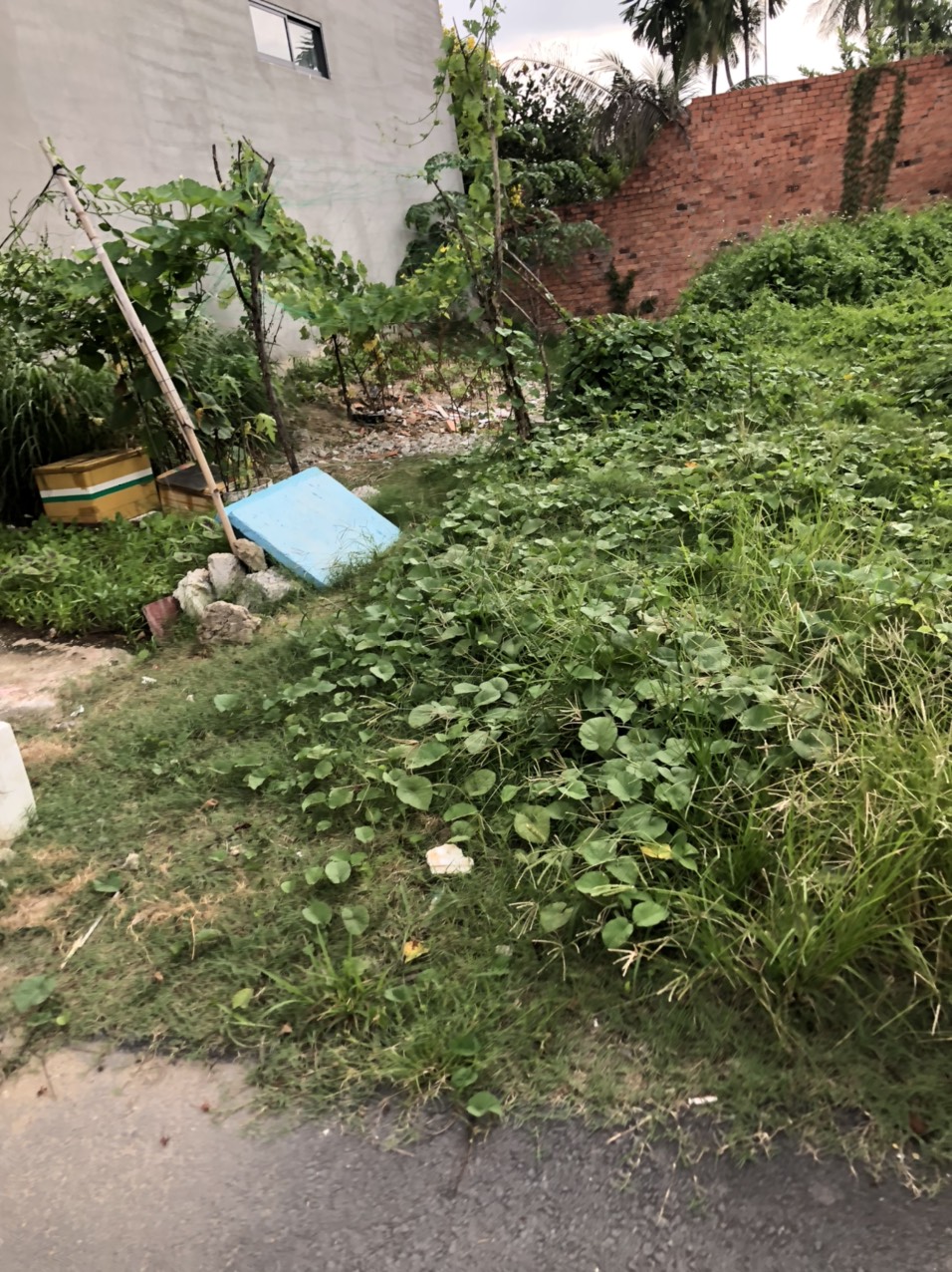 Bán đất dân cư đông đúc, Hẻm xe hơi, Quốc Lộ 13, 75m2 giá 4.5 tỷ 13015545