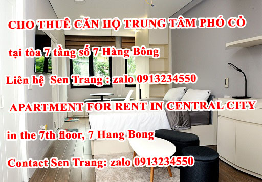 Cho thuê căn hộ tại Trung tâm Phố Cổ 13016599