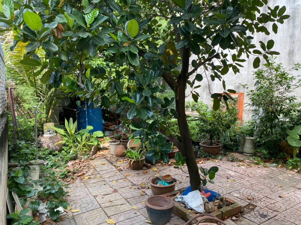 Một đới chủ 80 năm,Nhà Mặt tiền, ngang 7m, dường số 1, Hiệp Bình Phước  230m2 giá 13 tỷ 13024506