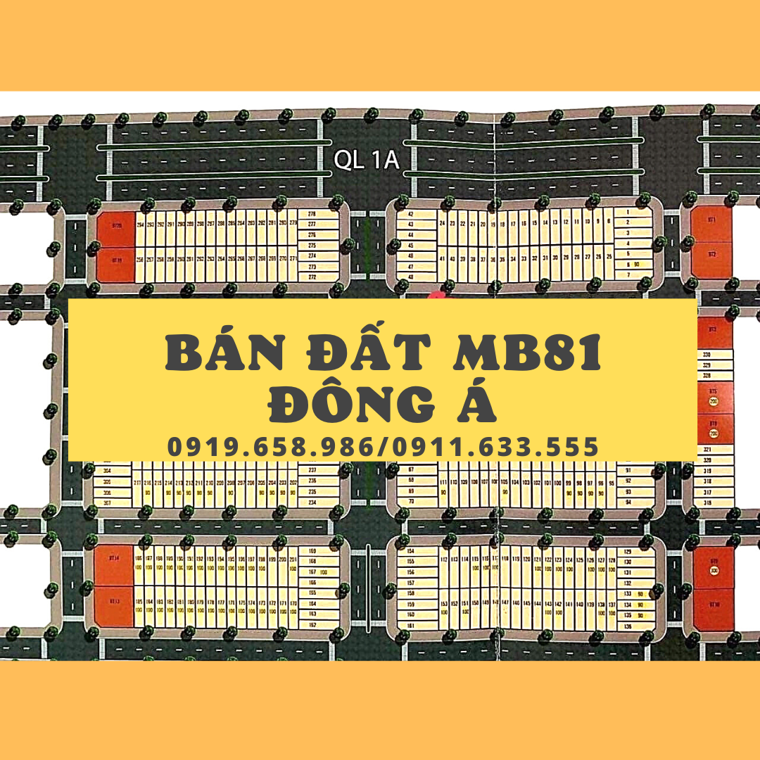 Bán đất nền Quảng Tân mb81 sổ đỏ chính chủ lh 0919658986
 13044980