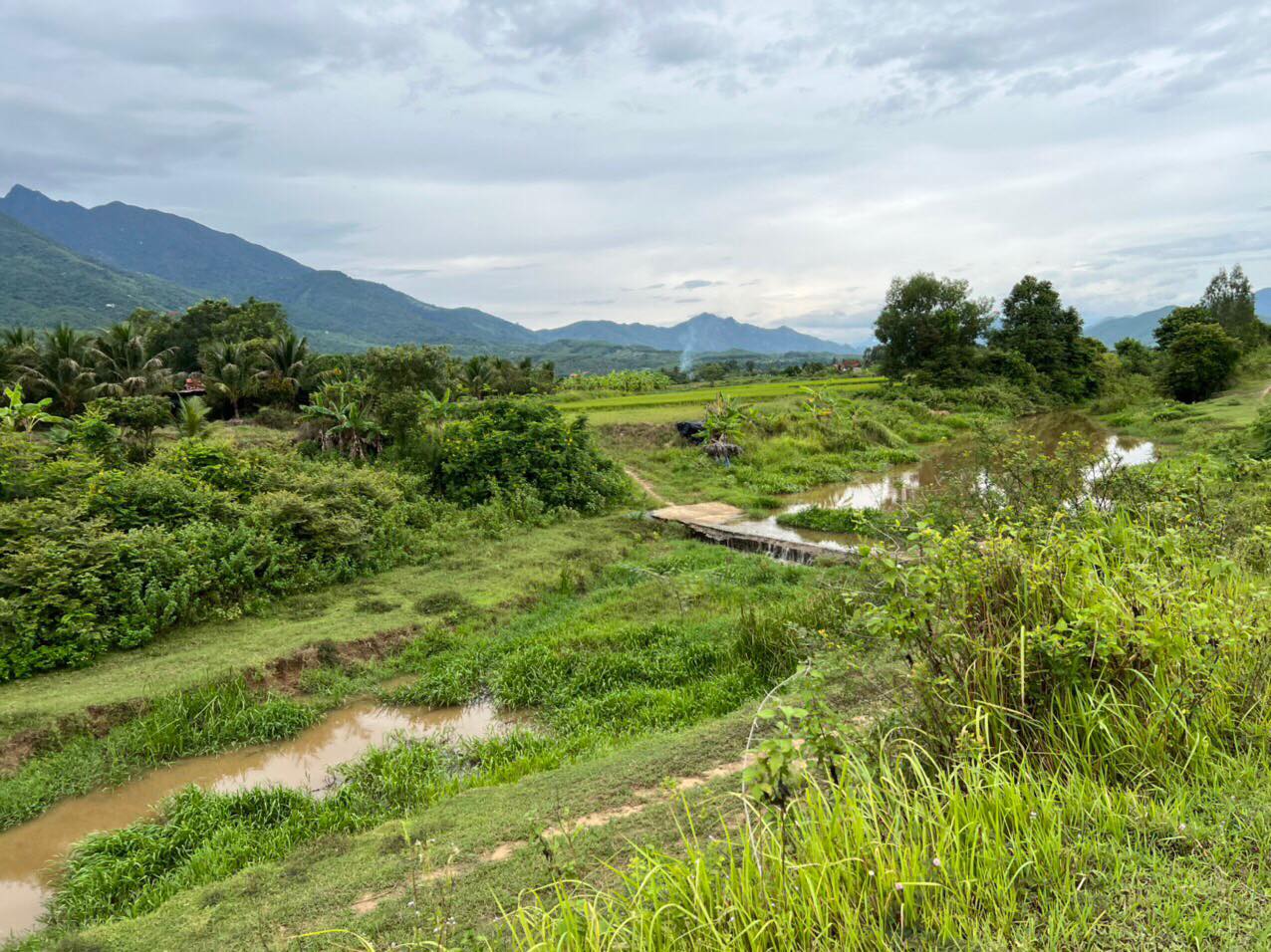 bán mảnh đất vườn cách tỉnh Lộ 5 chỉ 700m Ninh Hưng Ninh Hoà lh 0395287569 Vân 13065105