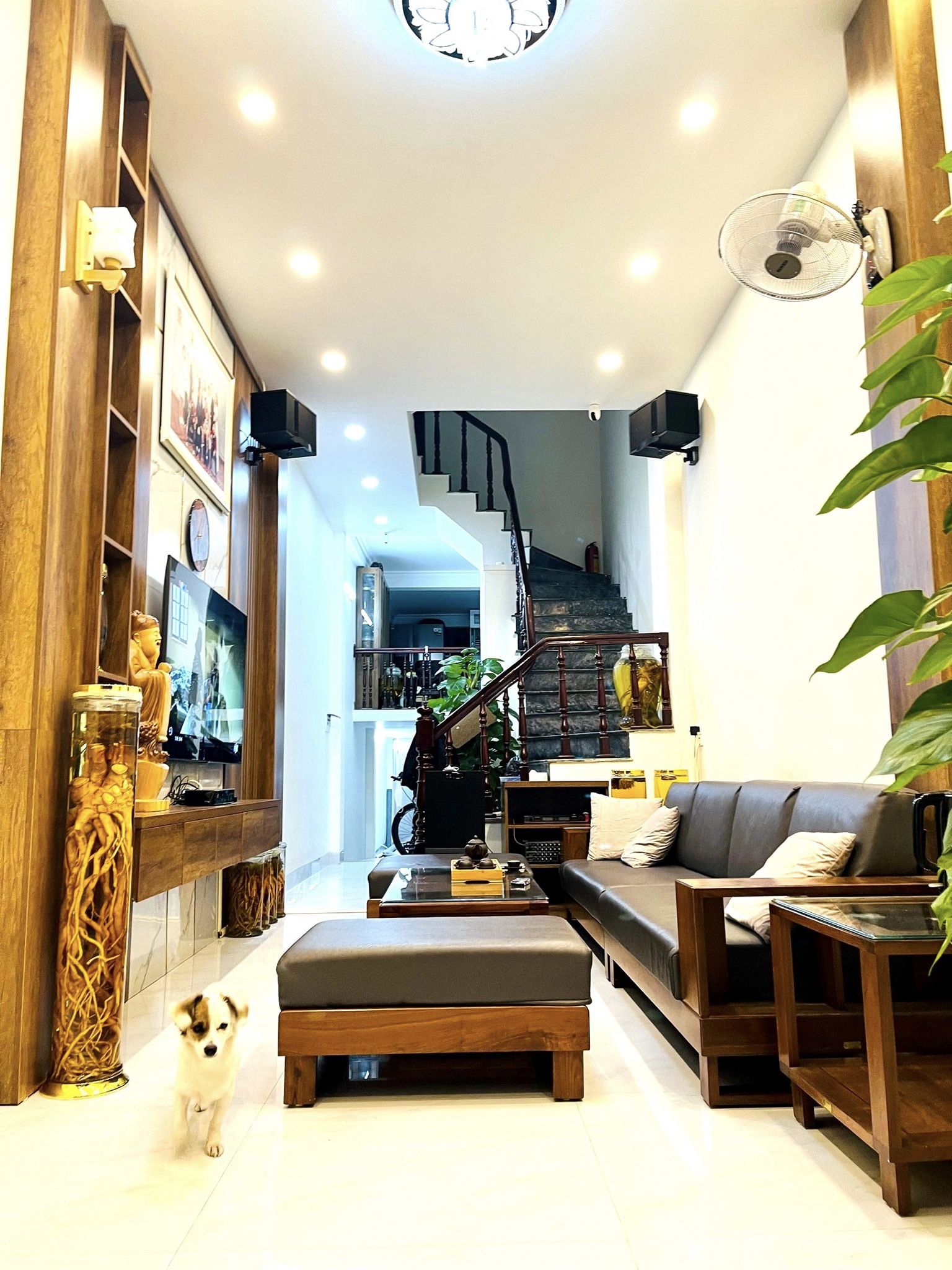 Bán nhà Hà Đông phân lô, ô tô tránh, kinh doanh tốt 13077175