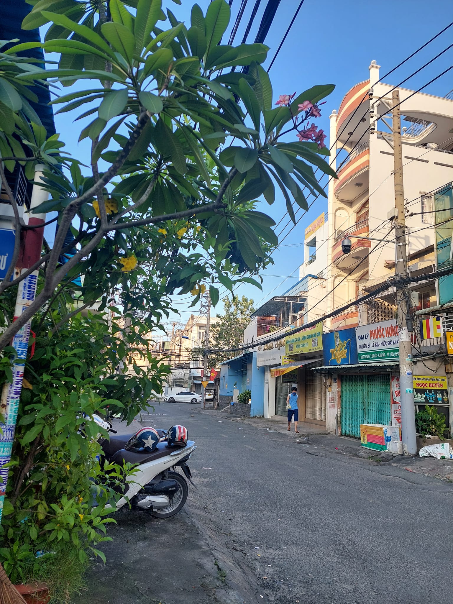 Hiếm, Bán nhà ngay chợ Thủ Đức, Đặng Thị Rành, Trung Tâm Trường Thọ, 450m2 giá 19 tỷ 13077625