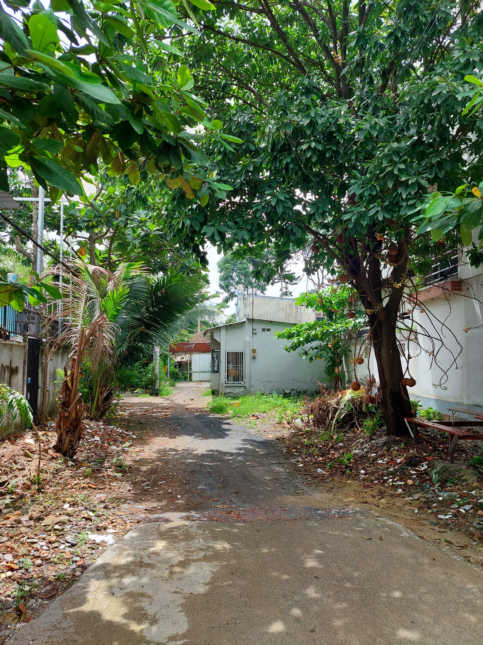 Đầu tư tốt, Bán nhà mặt tiền tương lai Vành Đai 2,  đường số 4, Trường Thọ, 185m2 giá 8.6 tỷ 13078349