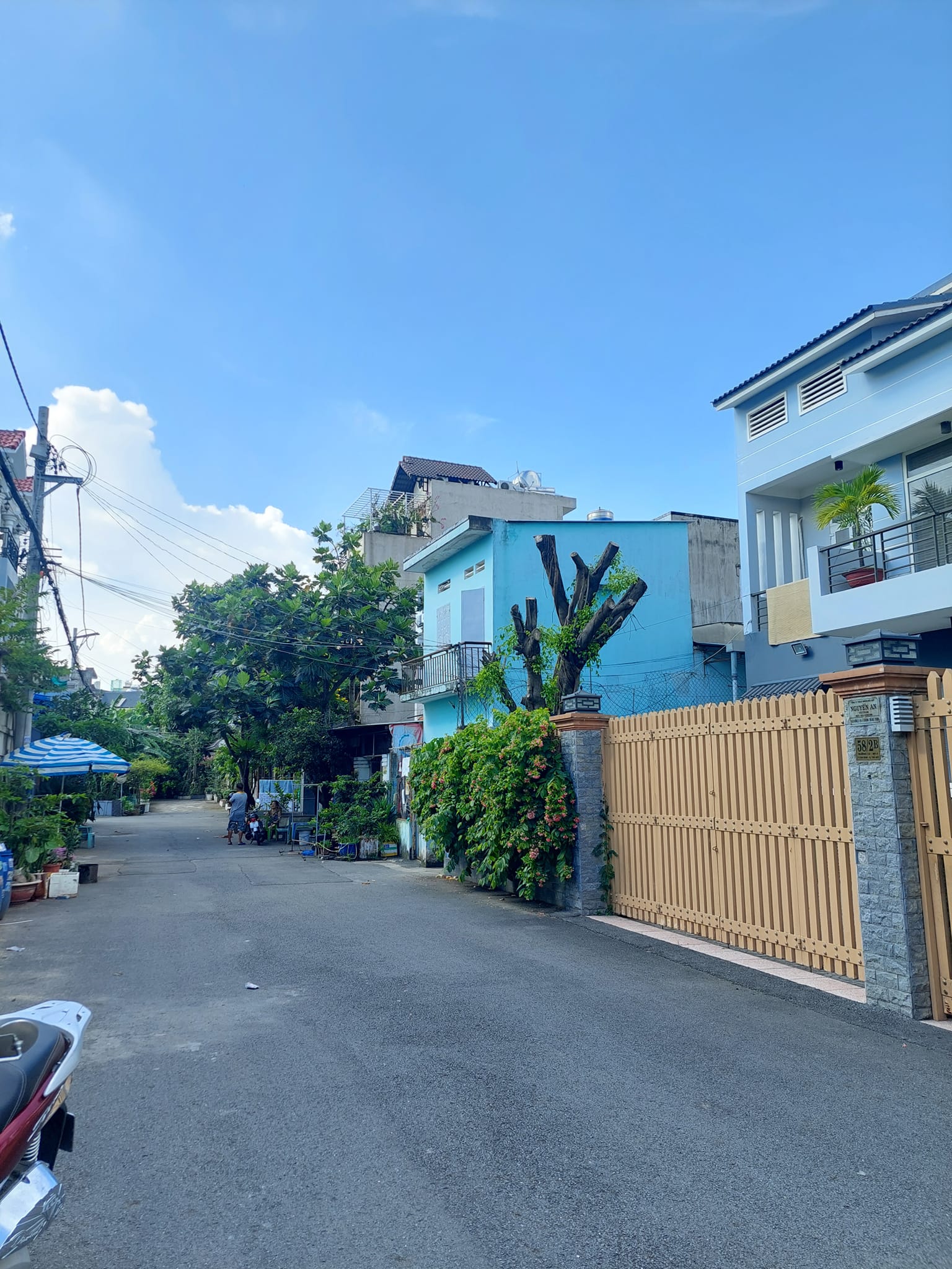 Bán nhanh, Biệt thự  đẹp ngay trung Tâm phường Tam Bình, ngang 12m, 350m2 giá 29 tỷ 13080159