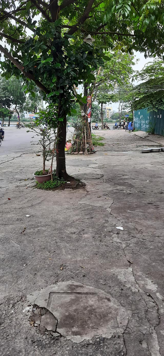 Bán đất mặt phố Giải Phóng DT55m chỉ 9 tỷ. KD đỉnh
 13093184