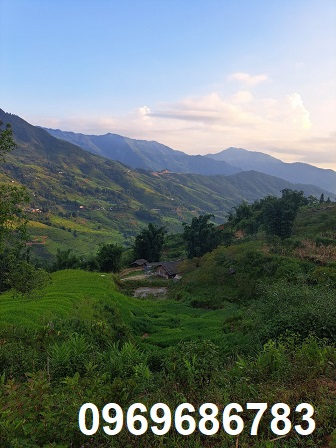 💥Chính chủ bán 1ha đất cây lâu năm xã Trung Chải, Sapa, 1tr/m2; 0969686783
 13109523