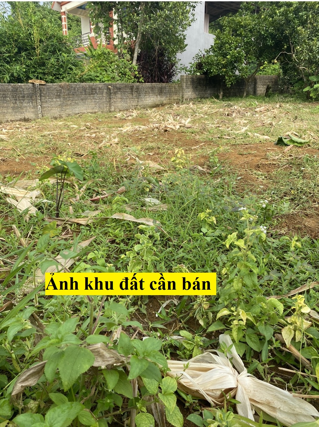 Chính chủ cần BÁN NHÀ VÀ ĐẤT tại Ngõ 1218, Tổ 9, Thị trấn Việt Quang, Bắc Quang, Hà Giang 0838581977. 13113201