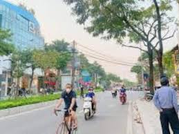 Chính chủ bán 176m2 đât phân lô Vườn Đào, mặt tiền 11m, Quận Tây Hồ 13123254