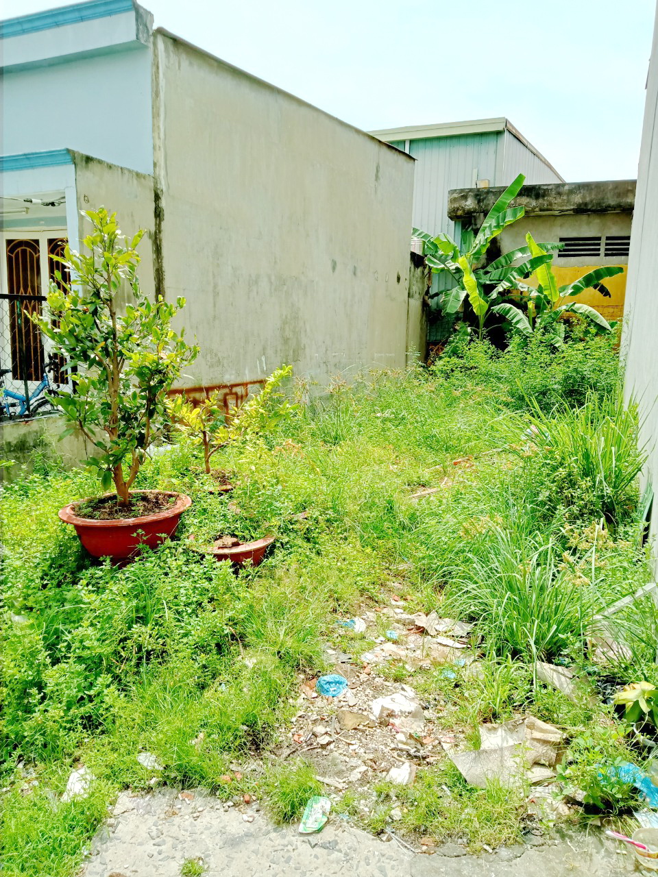 Bán đất hẻm 2549 đường Phạm Thế Hiển- Phường 7 Quận 8 13130708