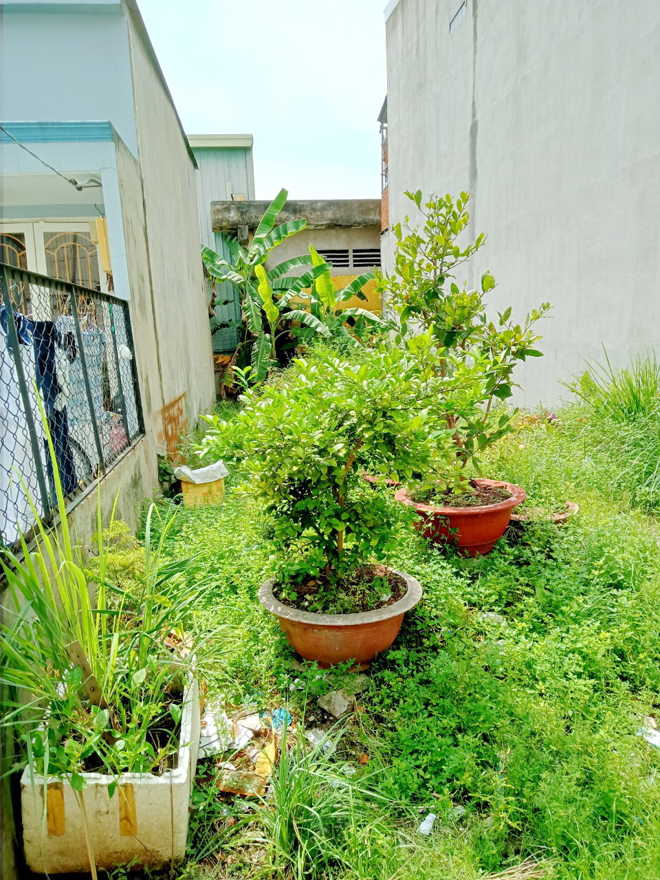 Bán đất hẻm 2549 đường Phạm Thế Hiển- Phường 7 Quận 8 13130708