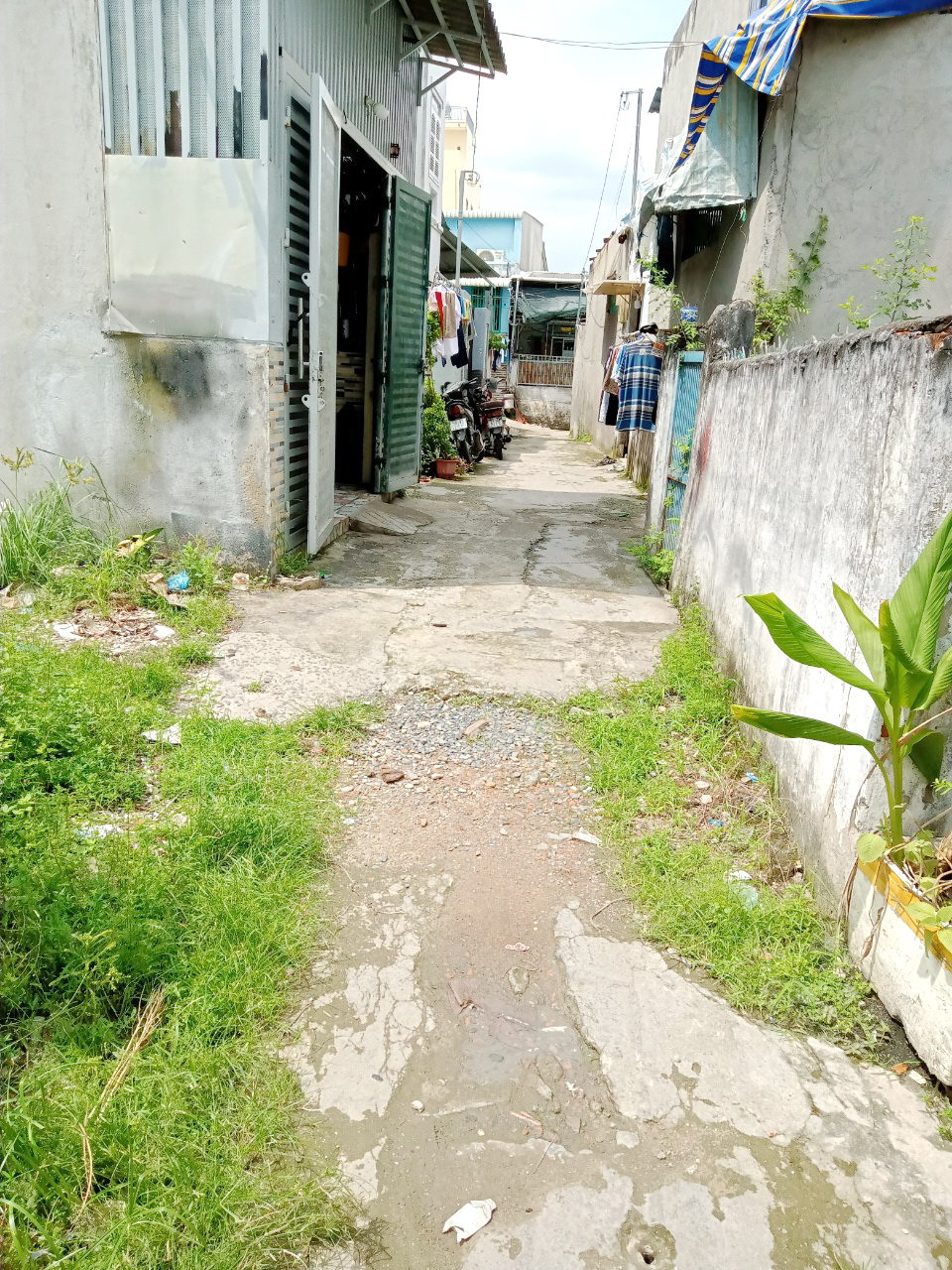 Bán đất hẻm 2549 đường Phạm Thế Hiển- Phường 7 Quận 8 13130708