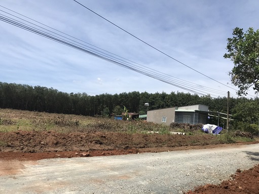 ĐẤT NỀN SỔ RIÊNG THỔ CƯ 100M - LONG HÀ, BÙ GIA MẬP, BÌNH PHƯỚC 13163676