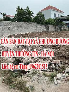 Chính chủ cần bán đất tại Xã Chương Dương, Huyện Thường Tín 13202689