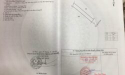 Cần tiền bán nhanh 4 lô đất chính chủ phường Nhơn hoà,Tx An Nhơn,Bình Định 13210015