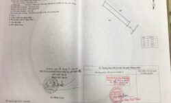 Cần tiền bán nhanh 4 lô đất chính chủ phường Nhơn hoà,Tx An Nhơn,Bình Định 13210015