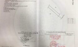 Cần tiền bán nhanh 4 lô đất chính chủ phường Nhơn hoà,Tx An Nhơn,Bình Định 13210015