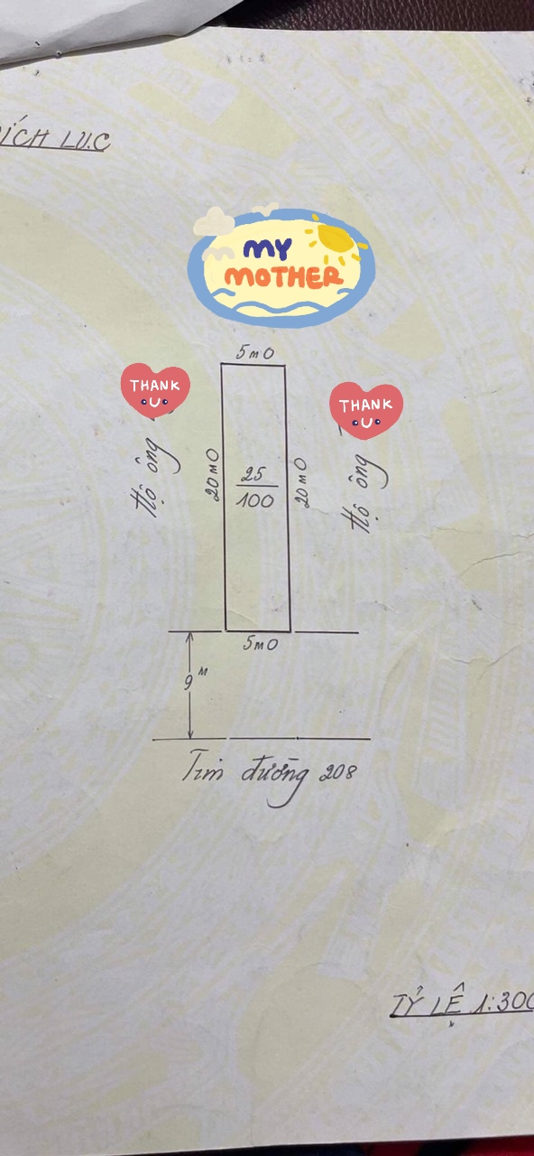 Bán nhà mặt đường 208 An Đồng, An Dương, Hải Phòng. Giá 4,8 tỷ. 13214457