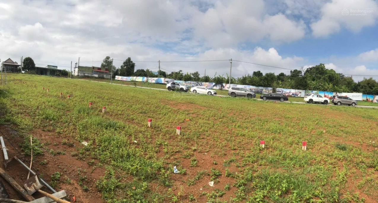 Dự án Royal Dream City, Tây Hòa, Trảng Bom, Đồng Nai  13224748