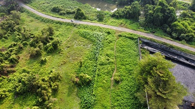 Cần bán 1000m2 đất full thổ cư mặt tiền Rạch Dứa - Bình Mỹ - Củ Chi 13238141