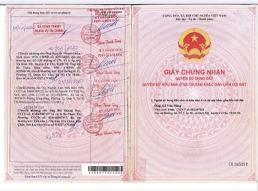 Cần bán 1000m2 đất full thổ cư mặt tiền Rạch Dứa - Bình Mỹ - Củ Chi 13238141