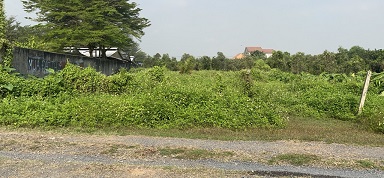 Cần bán 1000m2 đất full thổ cư mặt tiền Rạch Dứa - Bình Mỹ - Củ Chi 13238141