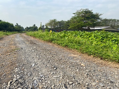 Cần bán 1000m2 đất full thổ cư mặt tiền Rạch Dứa - Bình Mỹ - Củ Chi 13238141