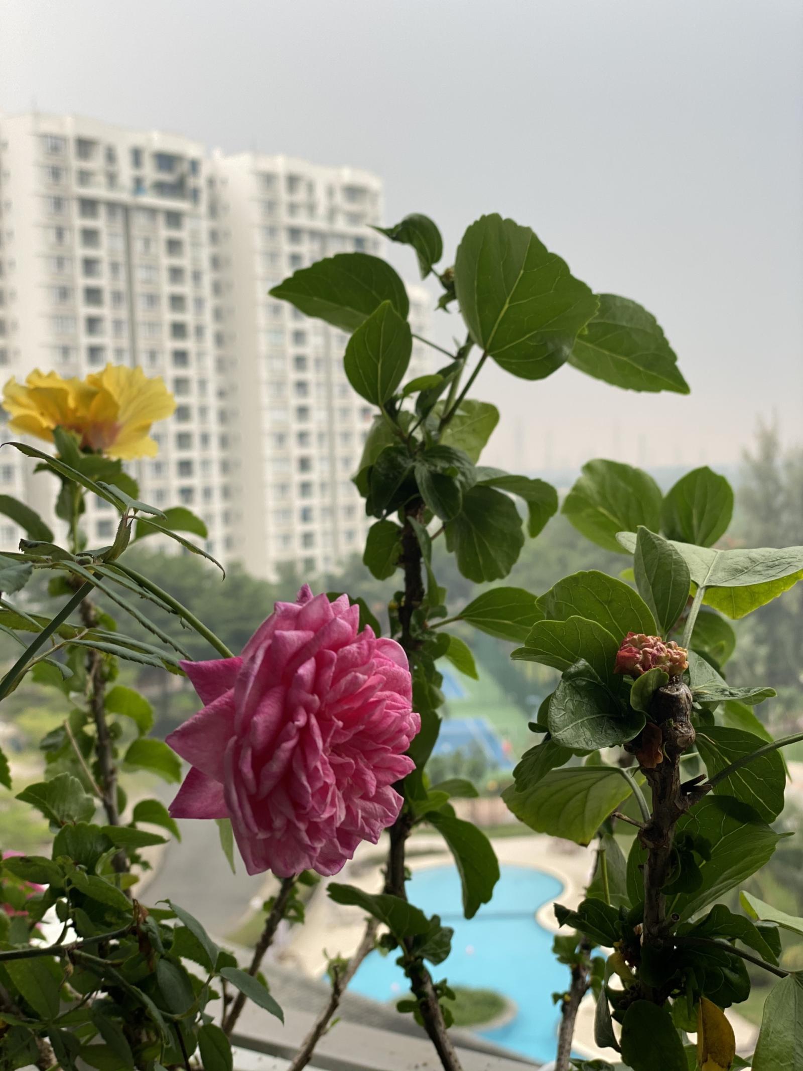 Cho thuê gấp căn hộ riverside residence Phú Mỹ Hưng, diện tích 130m2, 4PN, full NT, view sông, xem thực tế ngay 13242029