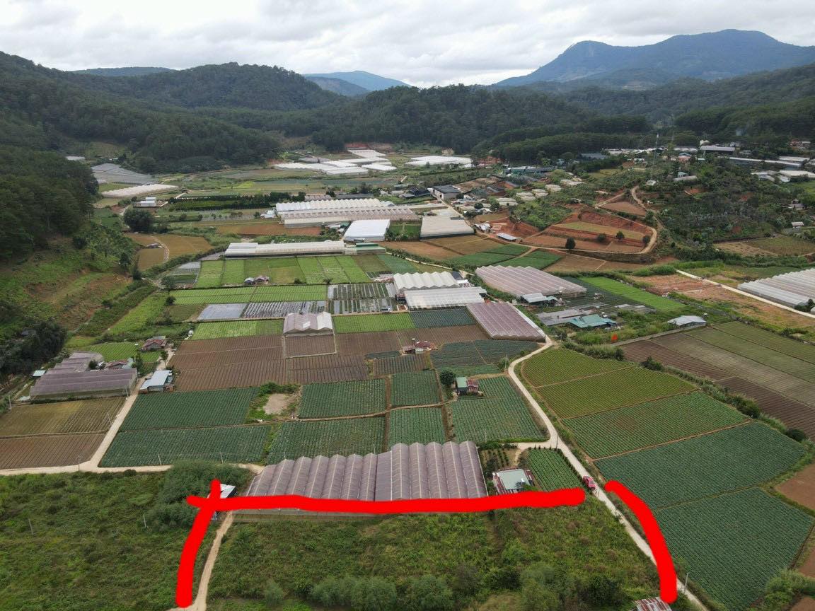 Bán đất nông nghiệp đường Mimosa Phường 10 Đà Lạt 2847m2 13247862