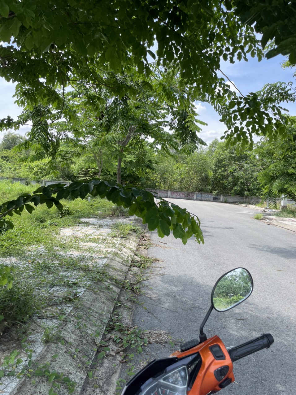 Chính chủ, cần bán nền đất 123m2MT đường nhựa xã Trung Lập Hạ, Củ Chi 13282993