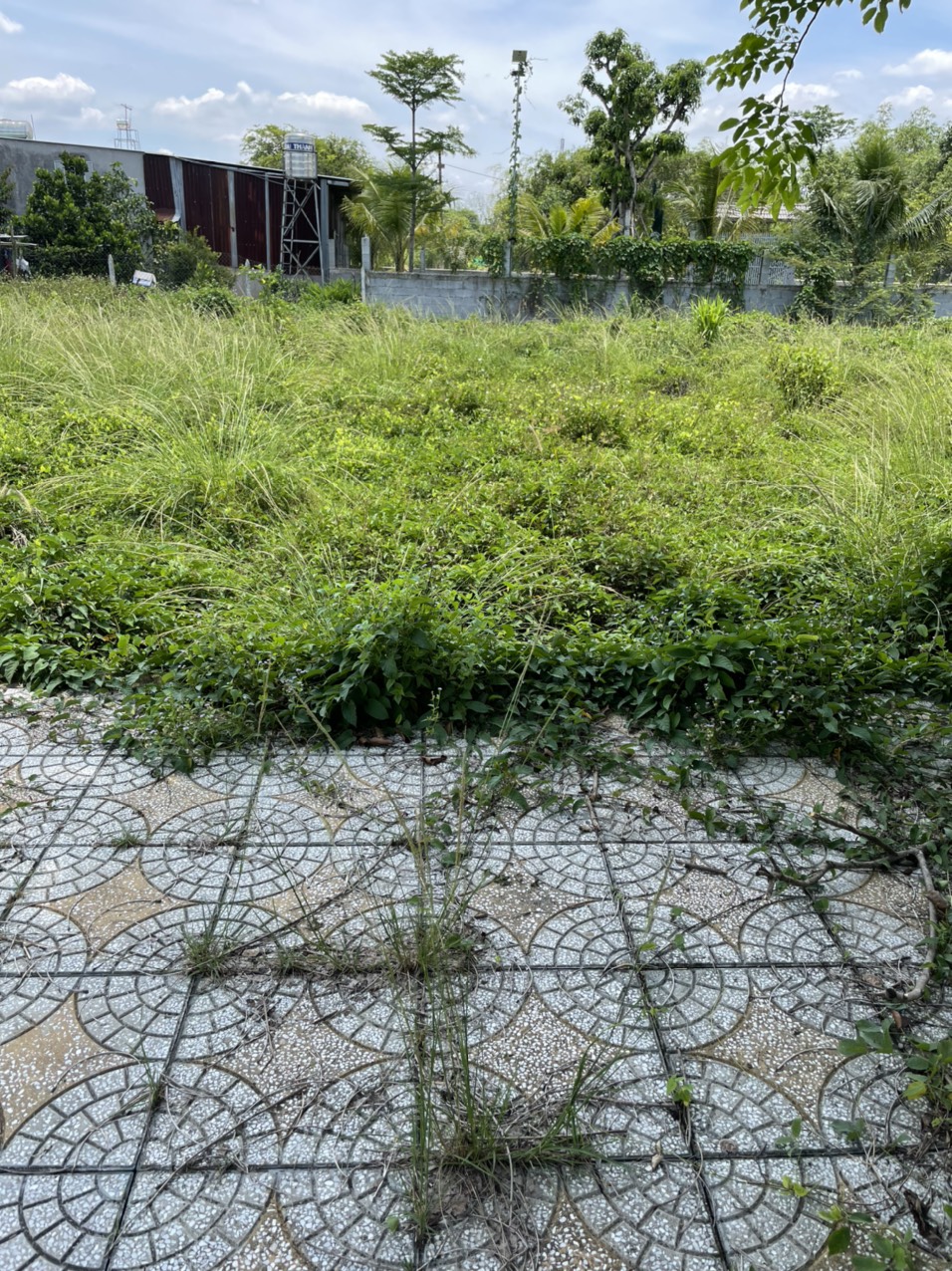 Chính chủ, cần bán nền đất 123m2MT đường nhựa xã Trung Lập Hạ, Củ Chi 13282993