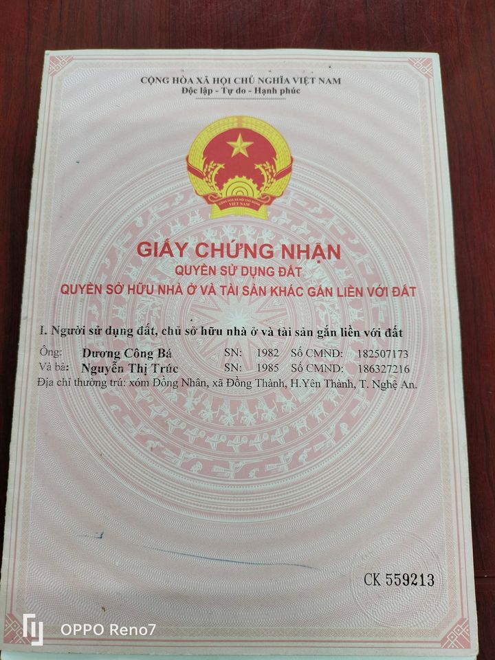 Chính chủ cần bán miếng đất 1.331m vuông Đồng Thành, Yên Thành, Nghệ An 13286480