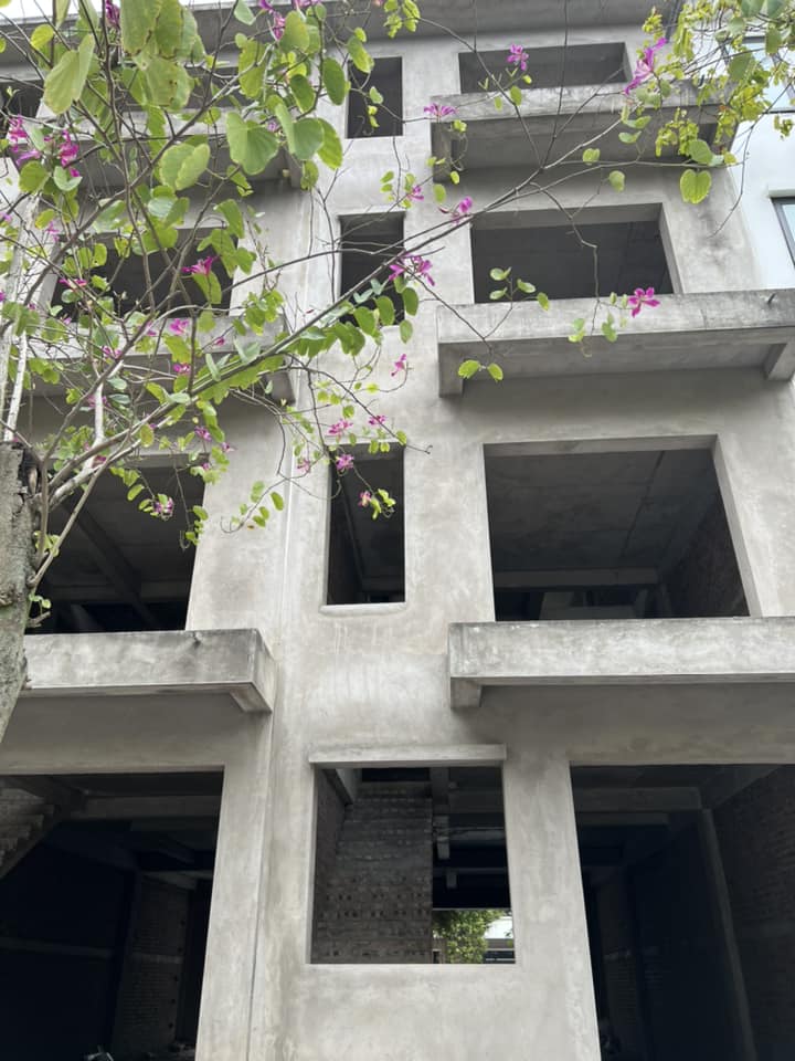 Bán liền kề trục chính đường  Hải Hưng, Ecopark Hải Dương, 100m2, mt 5m, 4 tầng, KD tốt 13299299