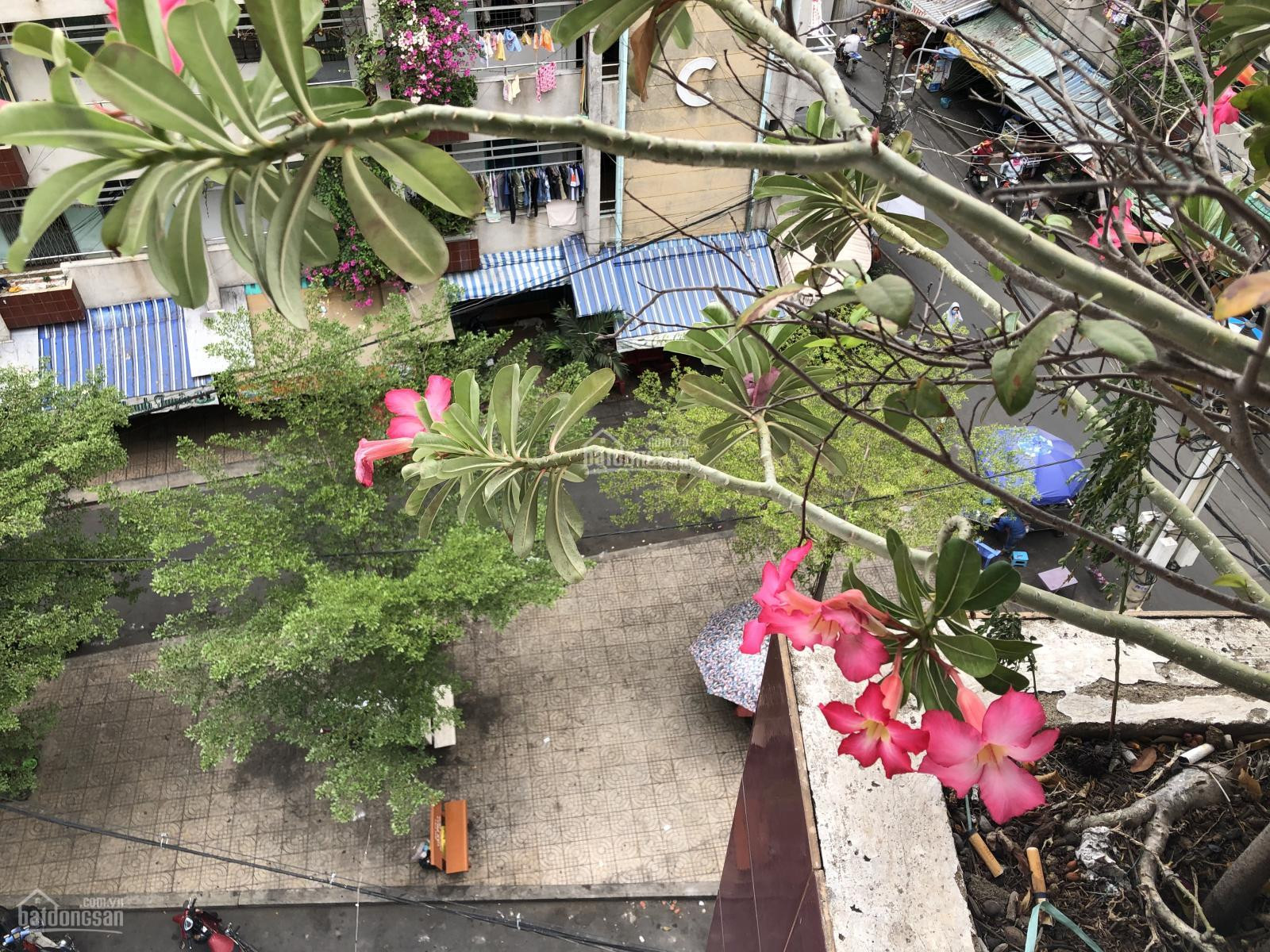 Chính chủ cần bán căn hộ chung cư Huỳnh Văn Chính 1 (Âu Cơ - Khuông Việt). 13329669