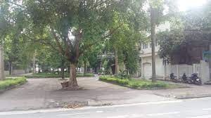 Chính chủ bán 176m2 đât đấu giá Vườn Đào, Quận Tây Hồ, mặt tiền 11m 13330730