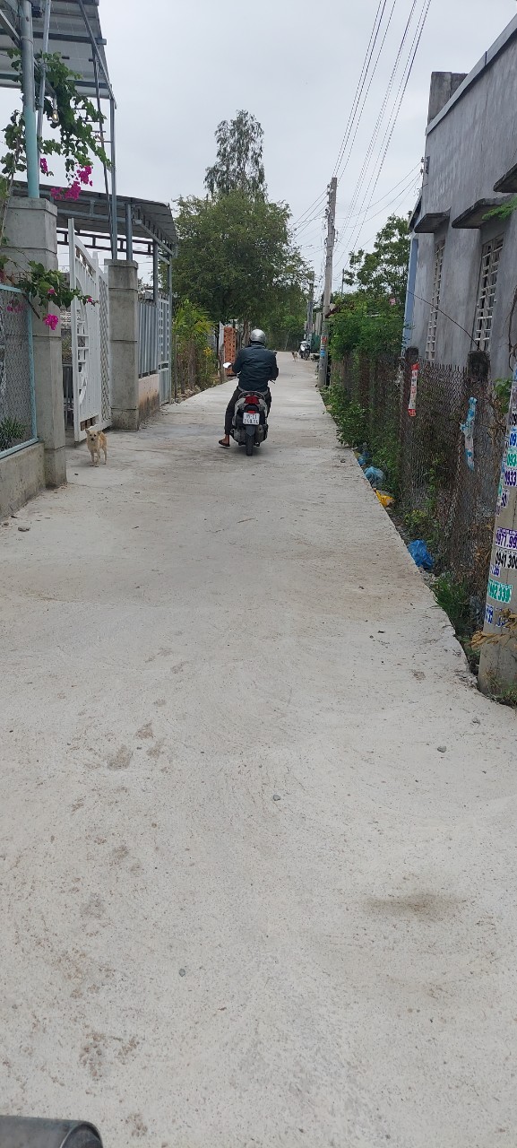 CẦN RA GÁP LÔ 136M THỔ CƯ, THÔN ĐÁ BẮN, XÃ HỘ HẢI, GIÁ 450 TRIỆU 13333436