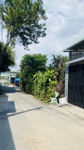 CHÍNH CHỦ BÁN DÃY NHÀ TRỌ KHU PHỐ 4 , P. PHÚ HOÀ, TP THỦ DẦU MỘT, BÌNH DƯƠNG. 13337416