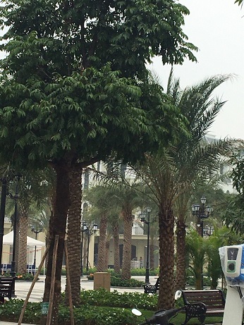 CHÍNH CHỦ BÁN CĂN CL 14-59, HƯNG YÊN, 7,2 TỶ, 0912200876- VINHOM OCEAN PARK VĂN LÂM, HƯNG YÊN. 13340408