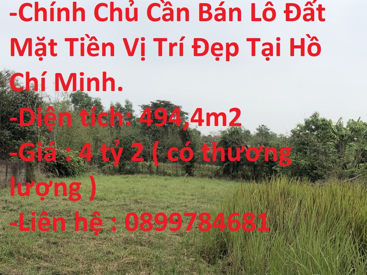 Chính Chủ Cần Bán Lô Đất Mặt Tiền Vị Trí Đẹp Tại Hồ Chí Minh. 13379447