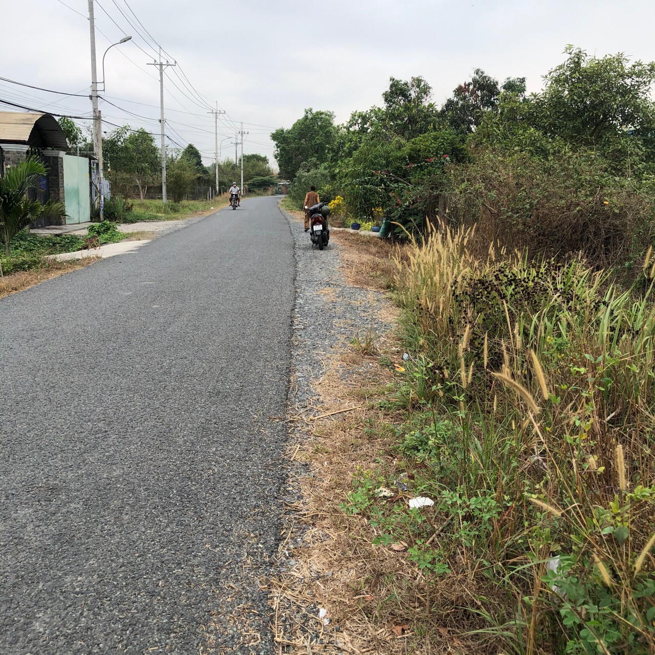 Chính Chủ Cần Bán Lô Đất Mặt Tiền Vị Trí Đẹp Tại Hồ Chí Minh. 13379451