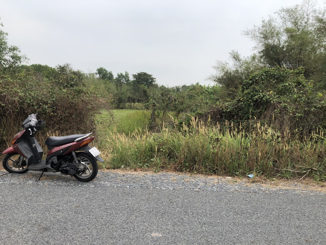 Chính Chủ Cần Bán Lô Đất Mặt Tiền Vị Trí Đẹp Tại Hồ Chí Minh. 13379451