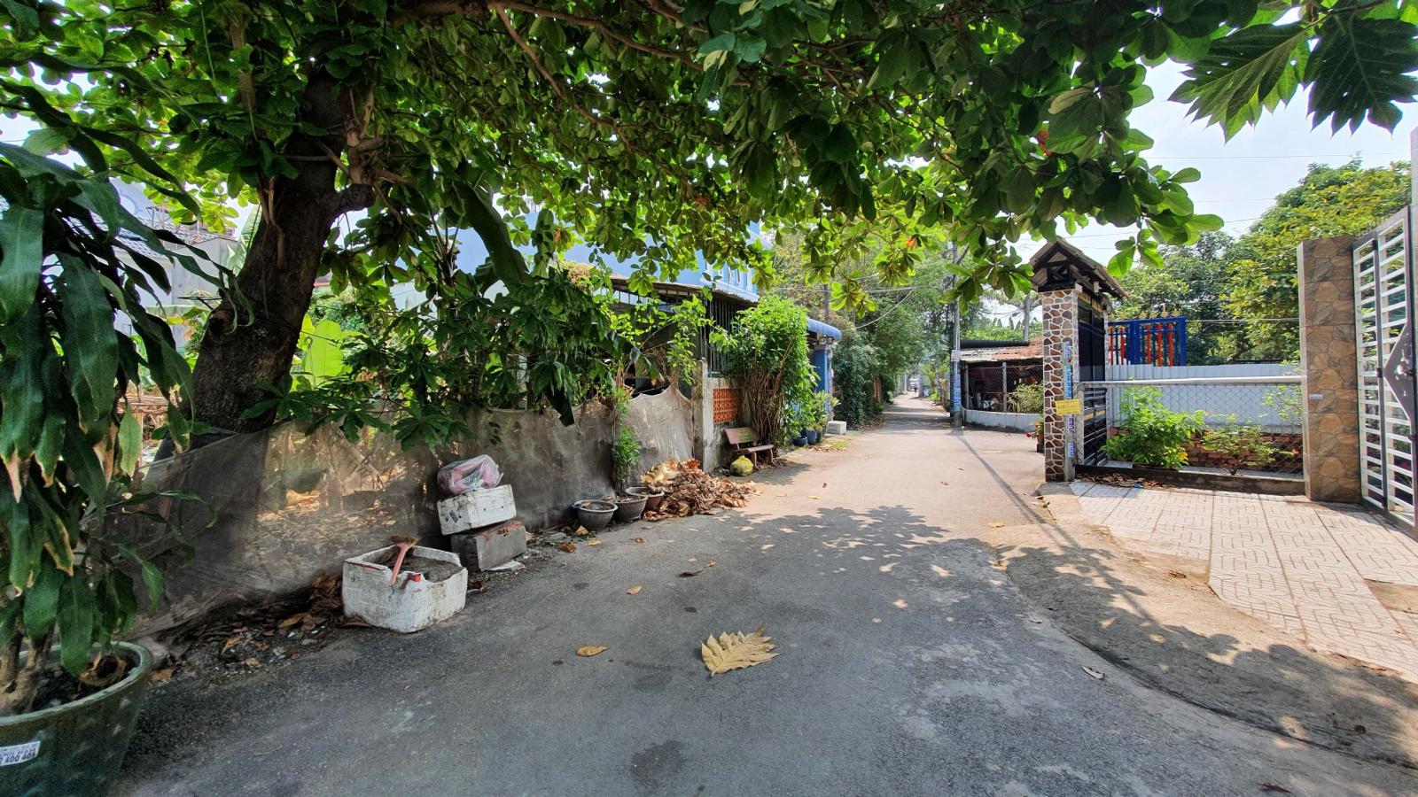 Cần bán Đất thổ cư Đường Trần Thị Bốc, Xã Thới Tam Thôn, Huyện Hóc Môn, Tp Hồ Chí Minh 13392743