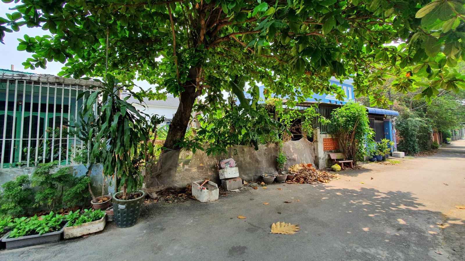 Cần bán Đất thổ cư Đường Trần Thị Bốc, Xã Thới Tam Thôn, Huyện Hóc Môn, Tp Hồ Chí Minh 13392743