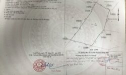 Chính chủ đang cần bán khu đất rộng tại Phước Vinh,Ninh Phước,Ninh Thuận 13402859