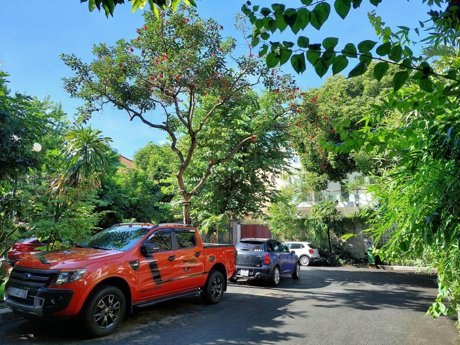 Bán gấp khu Biệt thự Víp Phổ Quang, Tân Bình, 200m2, ngang 10m, 3 tầng mái thái, 45 tỷ. 13424527