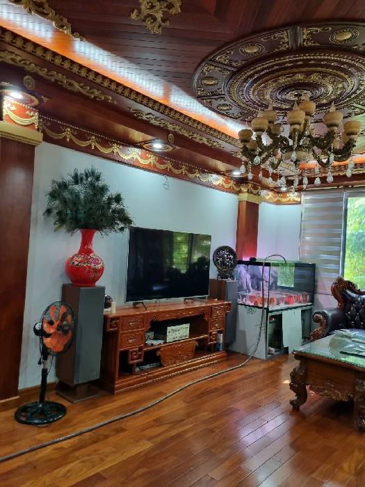 Biệt thự Siêu VIP 120m2 lô góc 3 mặt thoáng tại KĐT Bắc Linh Đàm 13446017